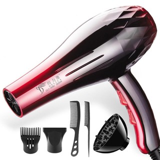 máy sấy tóc 2 chiều Deliya công suất lớn