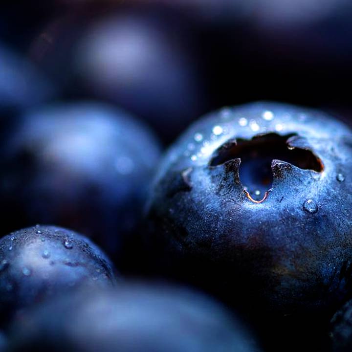 Hỗ Trợ chống oxy hóa NusaPure Blueberry Concentrate 10.000mg 200 viên