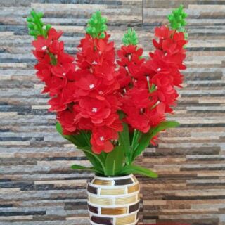 Nguyên liệu hoa phi yến