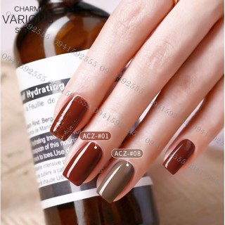 SET Sơn gel AS mã ACZ