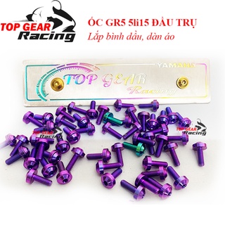 Ốc 5li15 Titan Gr5 Đầu Dù Gắn Đồng Hồ Dàn Áo Honda <TOPGEAR>