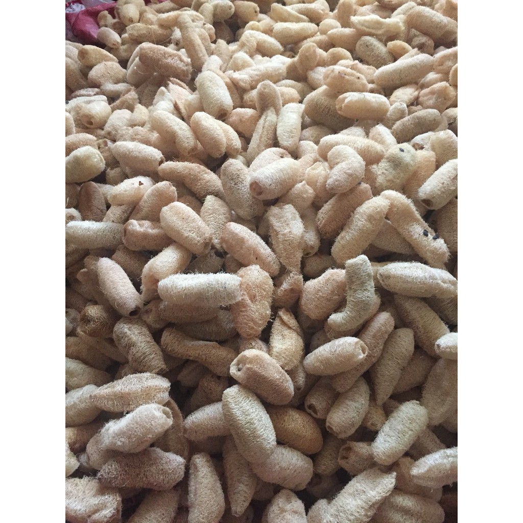 Combo Xơ mướp size 15-20cm