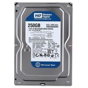 Ổ Cứng Máy Bàn 250Gb SATA Hard Disk Drive HDD Desktop 3.5"