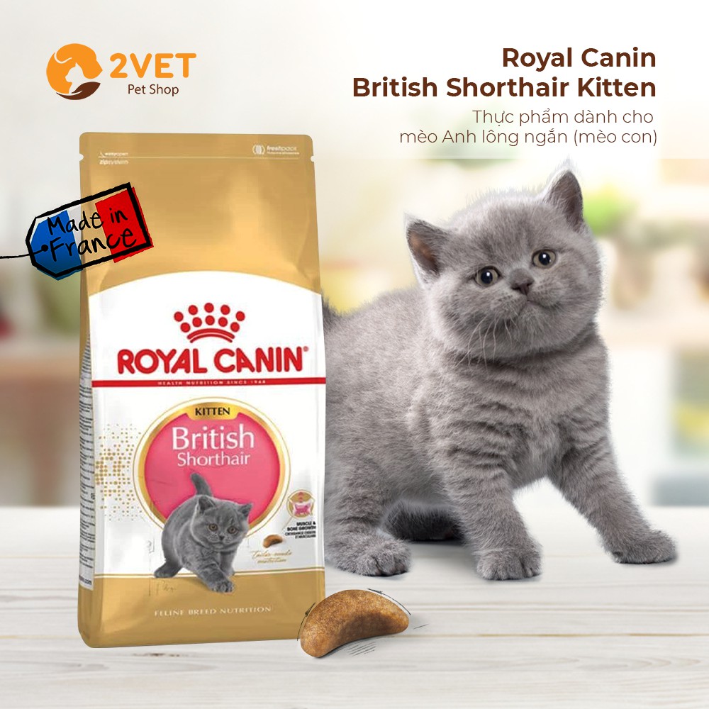 Đồ Ăn Hạt Khô Dành Cho Mèo Anh Lông Ngắn Royal Canin British Shorthair Kitten - Gói 400G – Hàng Nhập Khẩu