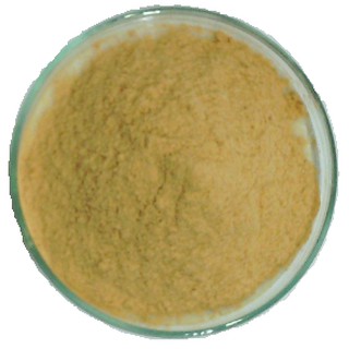 1KG HƯƠNG TÔM BỘT - PHỤ GIA VIỆT MỸ