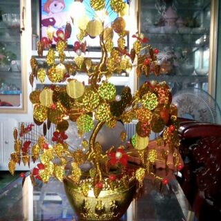 Cây cành vàng lá ngọc