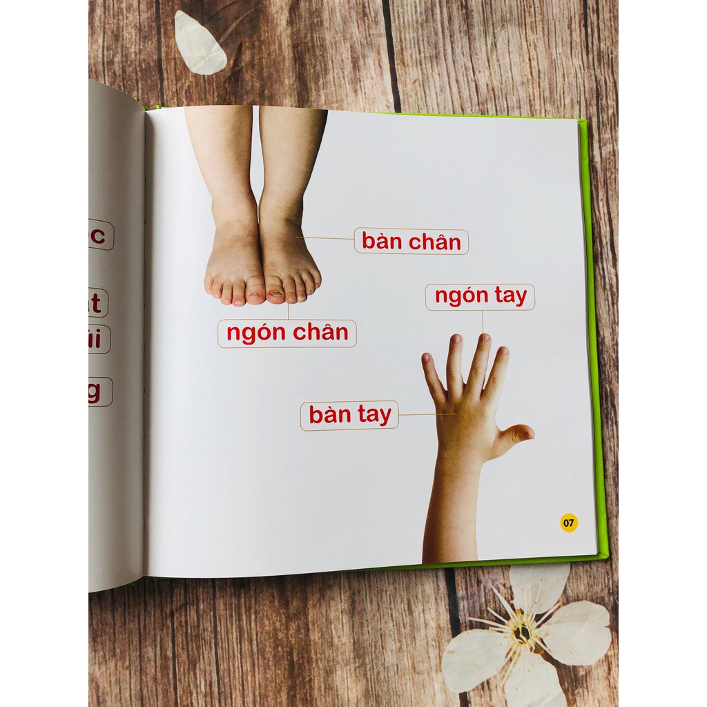 Sách - 100 Từ Đầu Đời Của Bé Gia Đình Yêu Thương