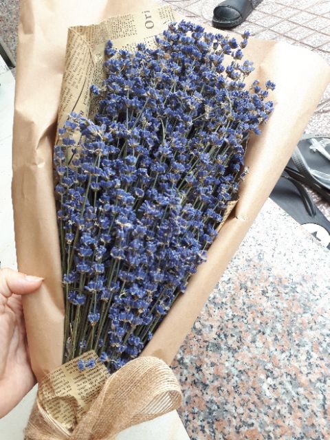 Bó hoa khô hoa lavender 130g (nhập Anh, nhập Pháp) KÈM VIDEO HÌNH THẬT, tặng kèm túi thơm