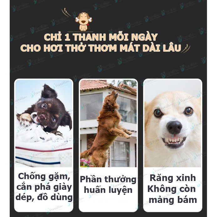 [GÓI 1C X 28GR]Treat Thưởng Giúp Làm Sạch Răng Cho Thú Cưng, Loại Bỏ Mảng Bám, Bảo Vệ Răng Xinh. Bổ Sung Protein. JF80