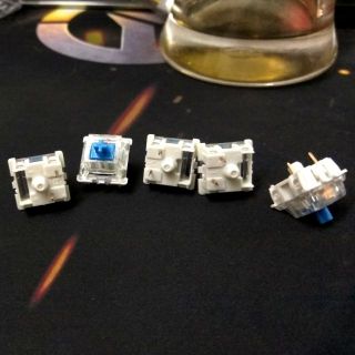 20 Gateron blue switch cho bàn phím cơ