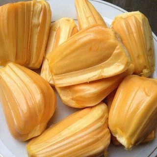Mít Tứ Qúy Nghệ