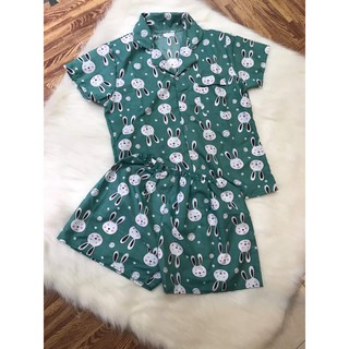 Bộ pijama Ngắn Hình Mới Chất Phi Lụa - Đồ bộ pijama