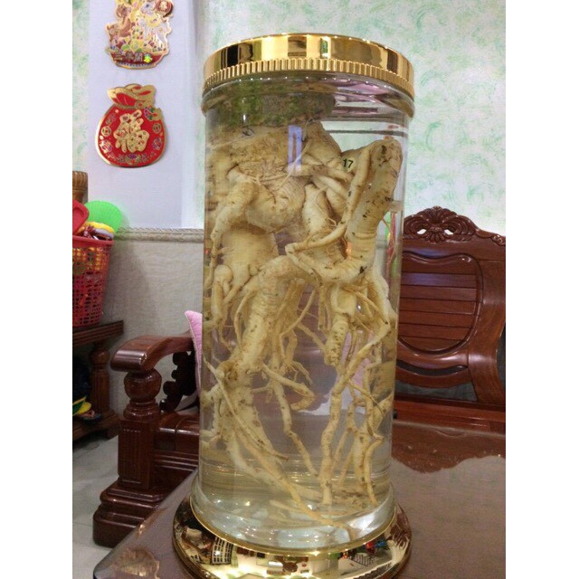 sâm đương quy 1kg