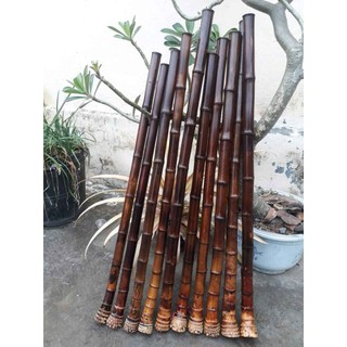 Sáo Tiêu gốc
