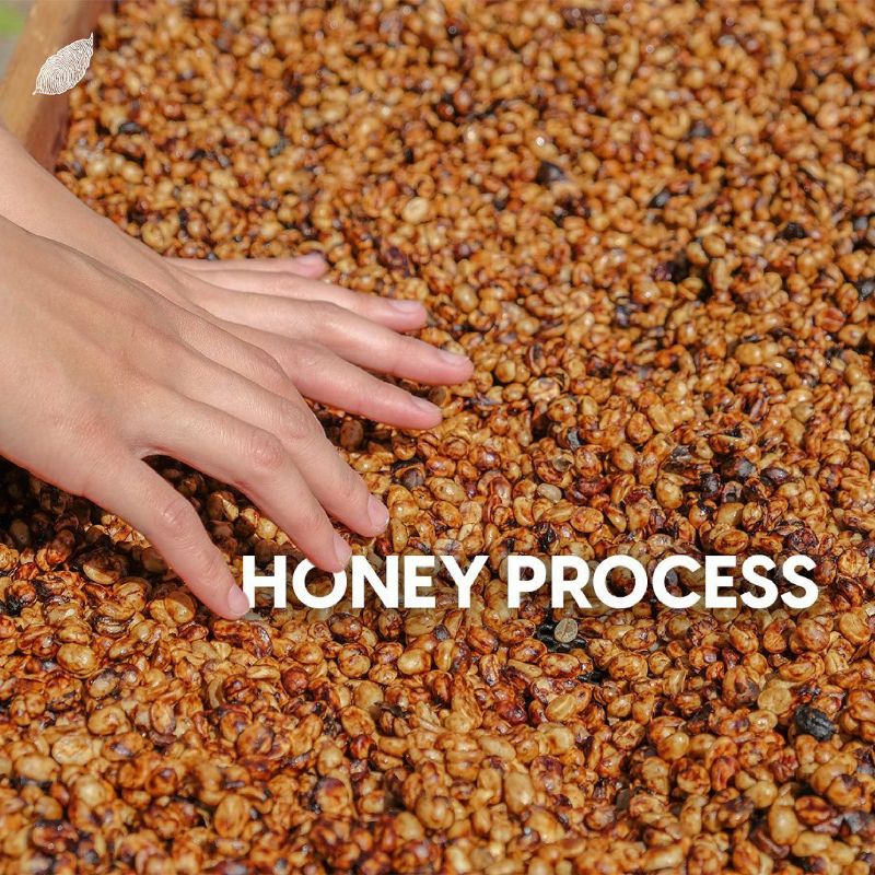 ROBUSTA HONEY PROCESS - MẠNH ,THƠM ĐẬM NGỌT HẬU VỊ - 100% Cà Phê Bột Chất Lượng Cao Thương Hiệu Robustahoney.vn | BigBuy360 - bigbuy360.vn
