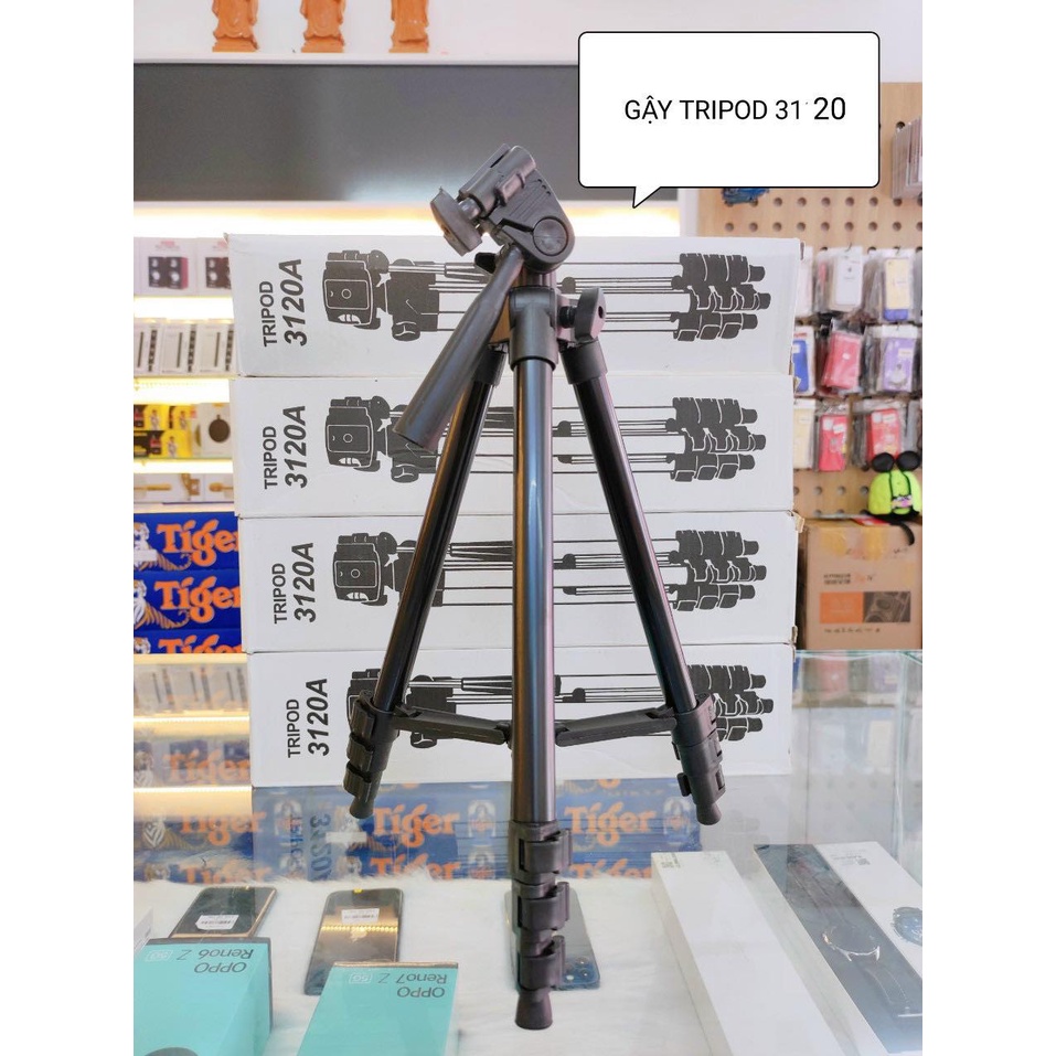 Gậy chụp ảnh-Chân đế điện thoại-Chân đế máy ảnh 3 chân TRIPOD TF 3120