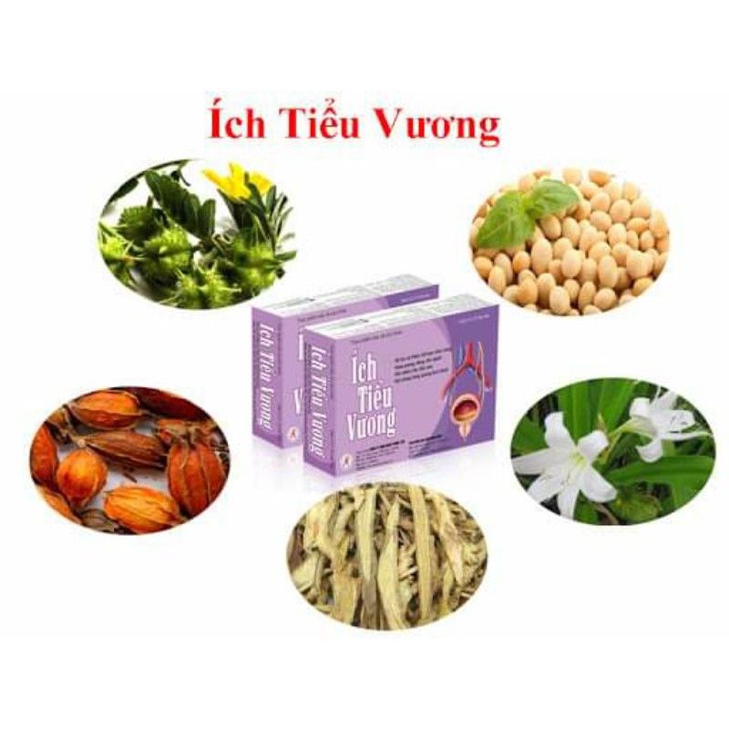 Ích Tiểu Vương hộp 120 viên 🌸Hoàn phí ship 🌸 Hết tiểu đêm - tiểu són - rối loạn bàng quang
