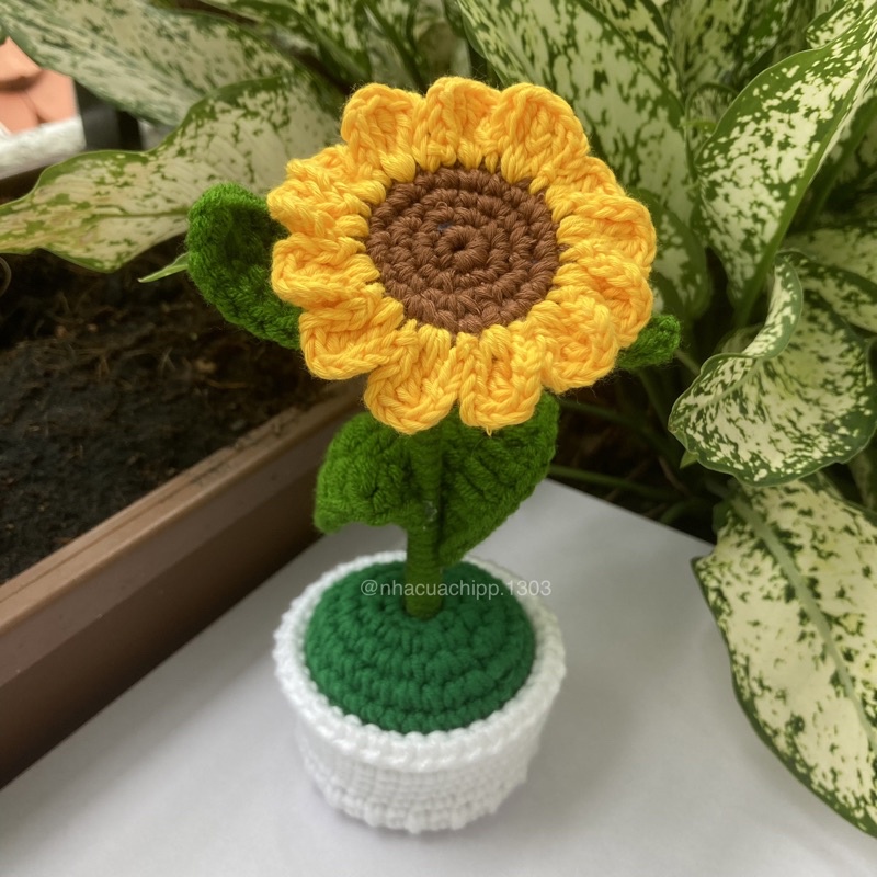 Chậu hoa hướng dương bằng len dùng để trang trí bàn học