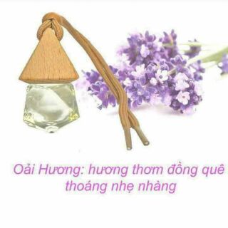 Tình đầu để trong Ô Tô rất nhiều mùi oải hương tím và sả chanh quê  cafe  hương bưởi hoa hồng hoa sen hoa ly có rất loại