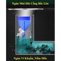 Van ngăn chặn mùi hôi cống