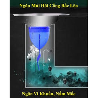 Van ngăn chặn mùi hôi cống