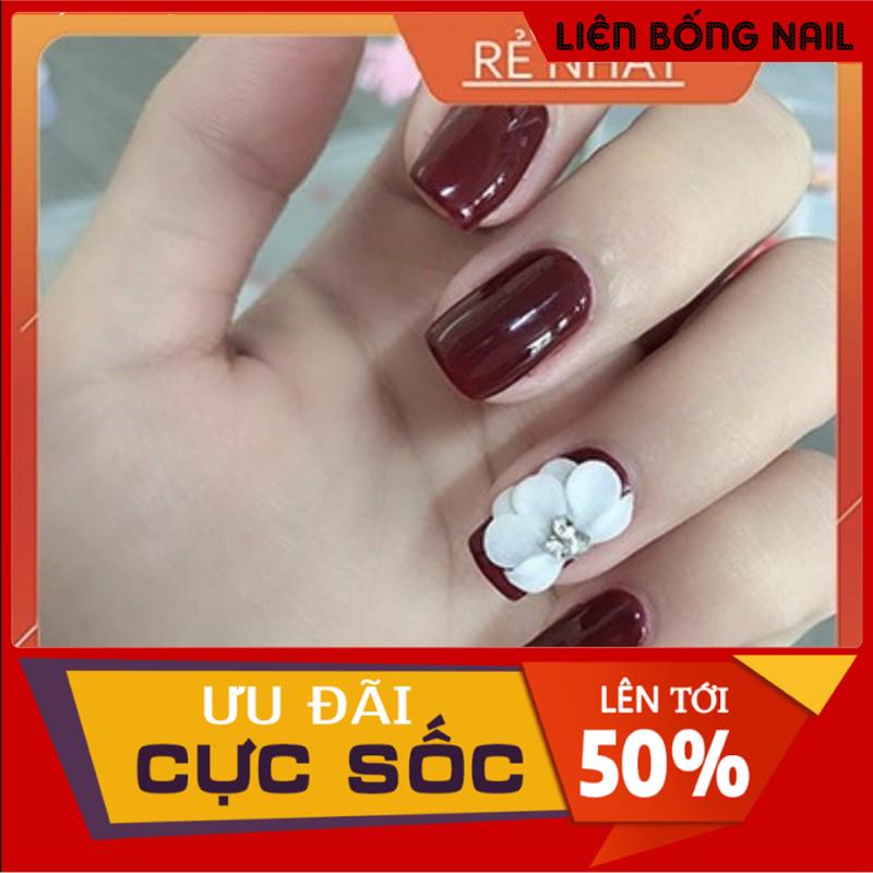 Hoa bột nail -6k/1b.