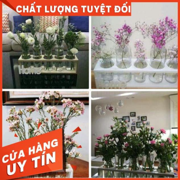 SÉT 5 BÌNH CẮM HOA THỦY TINH