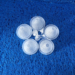 GIỎ NHỰA ĐỰNG GIUN CHO BỂ CÁ CẢNH