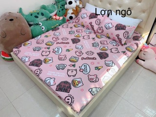 Bộ ga vỏ gối cotton poly (1 grap giường + 2 vỏ gối nằm)
