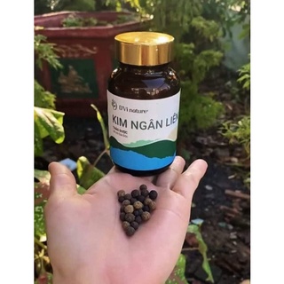Kim Ngân Liên DVi Nature