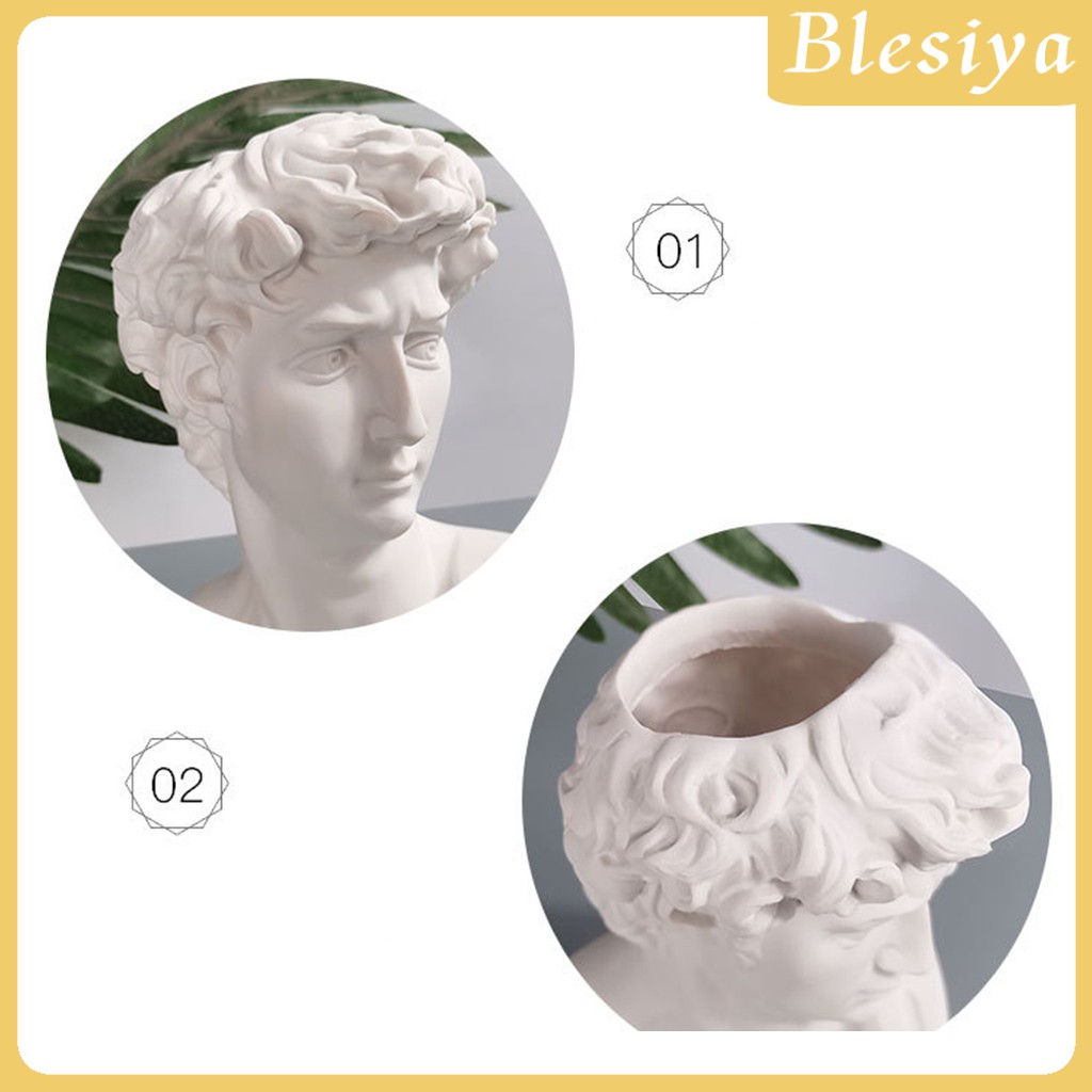 [Blesiya] Bình Hoa Hình Đầu David Trang Trí Chậu Hoa
