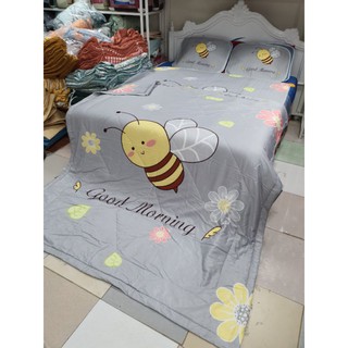 Set chăn chiếu lụa điều hòa tencel cao cấp