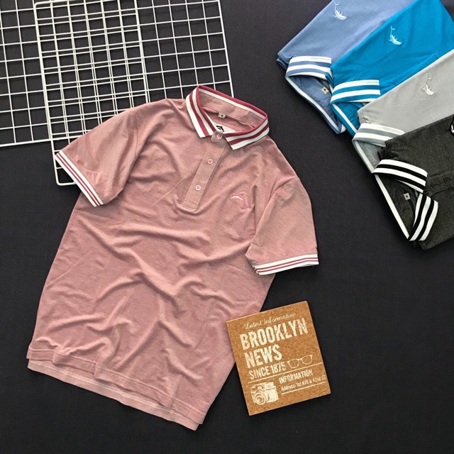 ÁO THUN CÁ SẤU CỔ BẺ CỰC ĐẸP | BigBuy360 - bigbuy360.vn