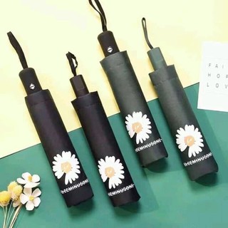 Ô hoa cúc chống tia uv ,chống nắng