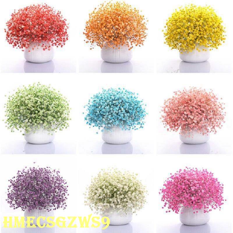 Hạt giống hoa Gypsophila nở liên tục và dễ sống ban công trong nhà giúp thanh lọc không khí 100h