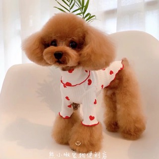 Áo lọ cho chó mèo