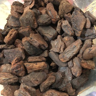 Vỏ thông trồng lan đánh tròn đầu, hàng đẹp size 3-4 cm 1kg