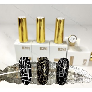 Sơn Nứt - Sơn Gel Nền Nứt B281
