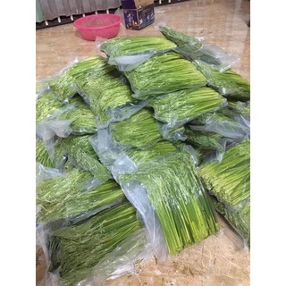 Đòng đòng nếp [Nông Sản Tây Bắc]