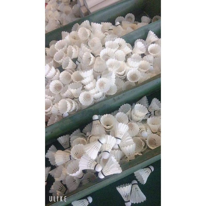 Ống cầu lông win sport giá dùng thử