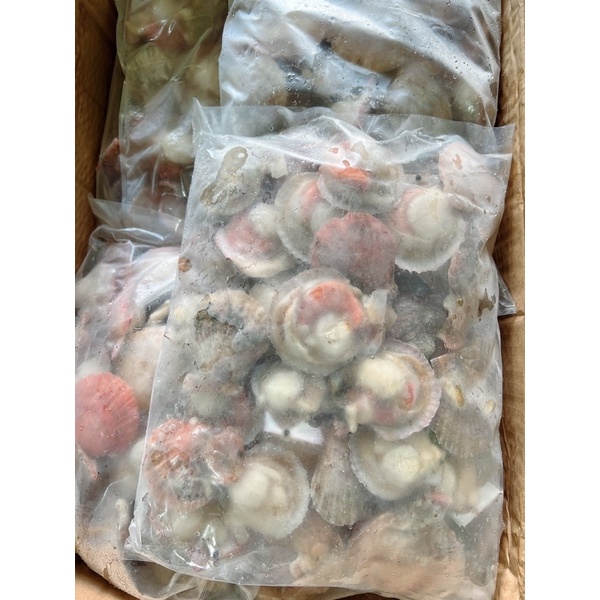Sò điệp Nhật nửa mảnh size 30/40 bịch 1kg