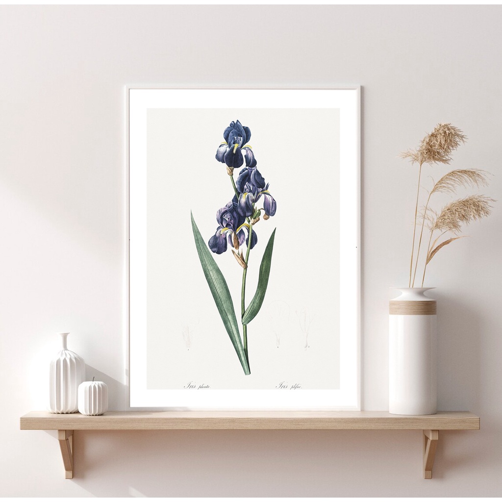 Set 3 tranh trang trí phòng khách chủ đề thiên nhiên X556