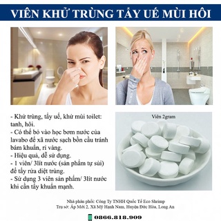 Viên Khử Trùng Mùi Hôi Thối Toilet Nhà Vệ Sinh 1 Kg/lon
