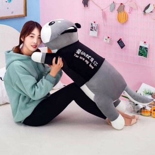 Gấu bông-chó husky hàn quốc size 75cm-90cm