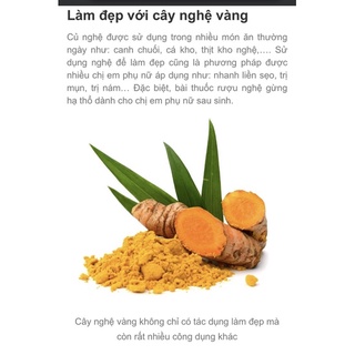 củ nghệ vàng trồng vườn rừng (tặng hom giống dâu tằm ăn trái)