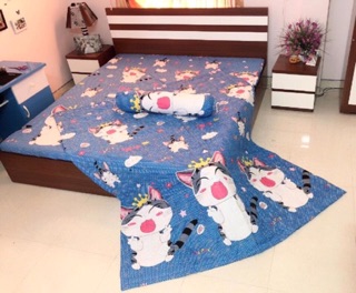 Sét 5 ga gối poly cotton