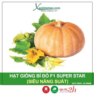 Hạt giống bí đỏ phú nông gói 2 gram