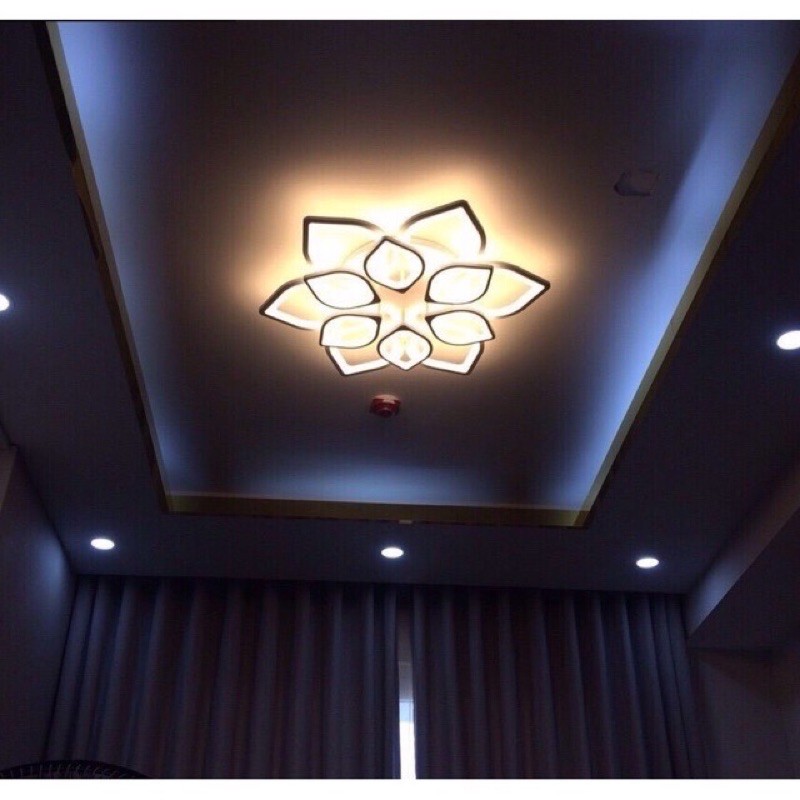 Đèn Ốp Trần Hoa Sen 12 Cánh Có Mầu Đen