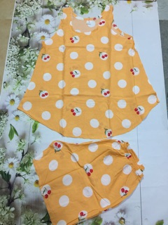 Đồ bộ tole(Lanh)2 da