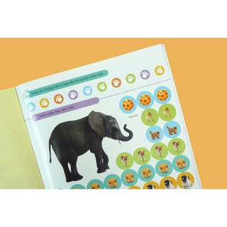 Sách - Bóc dán tuyệt đỉnh 6T